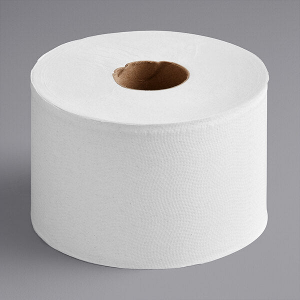 Toilet Roll 2 Ply 4 1/2" X 4" 500 Sheets [24 Pack]